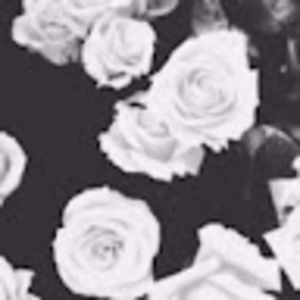 Meet your Posher, Ethan